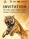 Invitación a la Cumbre Global de Distribuidores de Tiger Head 2026